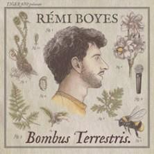 Rémi Boyes - Bombus Terrestris - Tournée