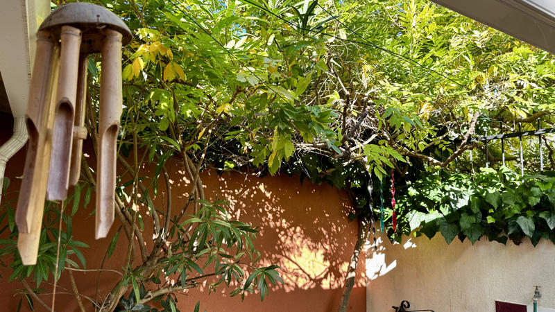 Maison - 60 m² - 3 pièces