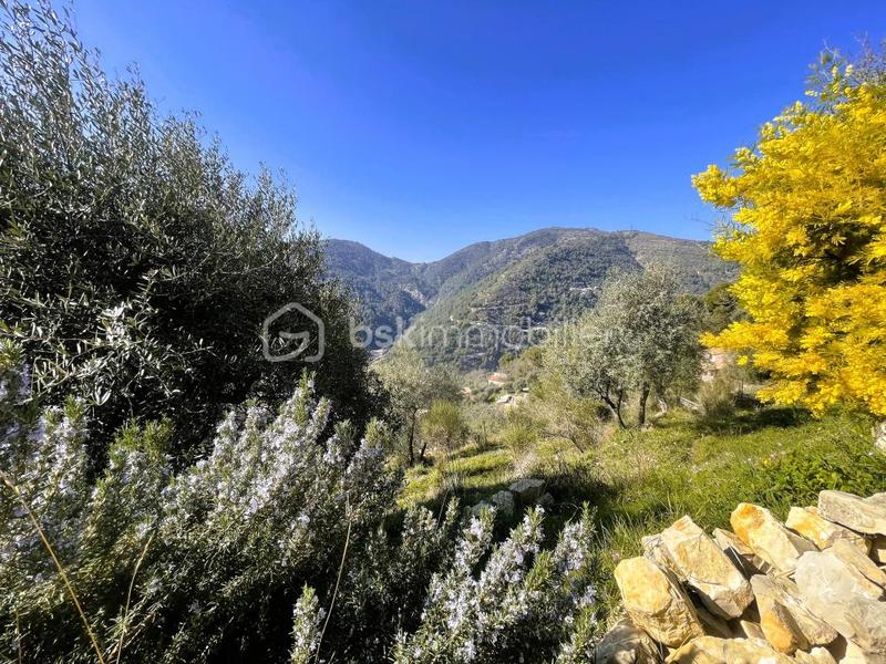 Maison traditionnelle - 140 m² - 4 pièces