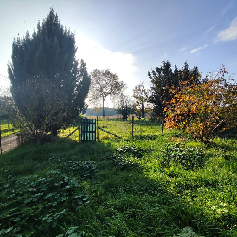 Maison - 142 m² - 5 pièces