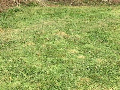 Terrain constructible - 1 200 m²