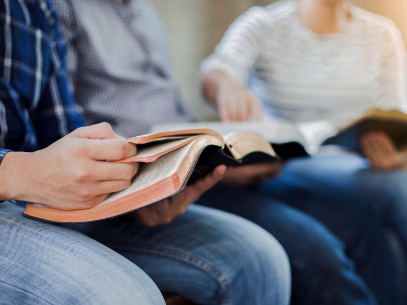 Ado &amp; Libraire : partage de lecture