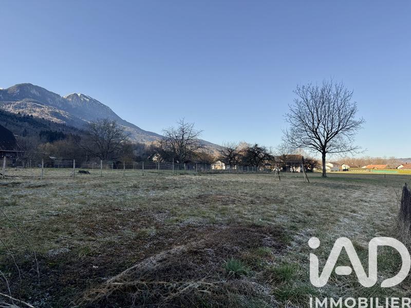 Terrain - 695 m²