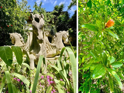 Maison - 250 m² - 9 pièces