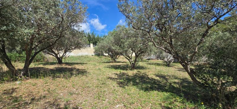 Terrain constructible - 764 m²