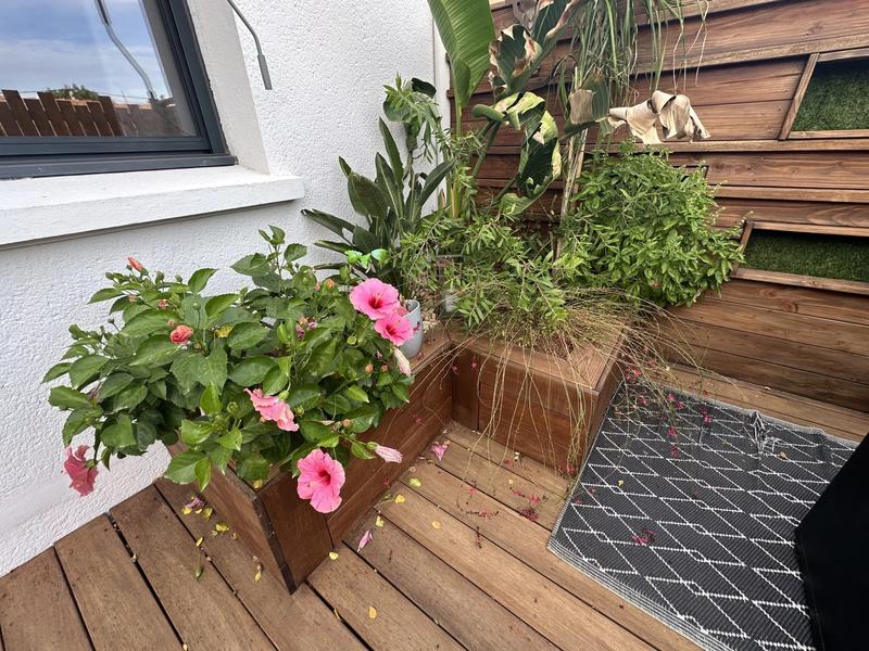 Maison de ville - 135 m² - 6 pièces