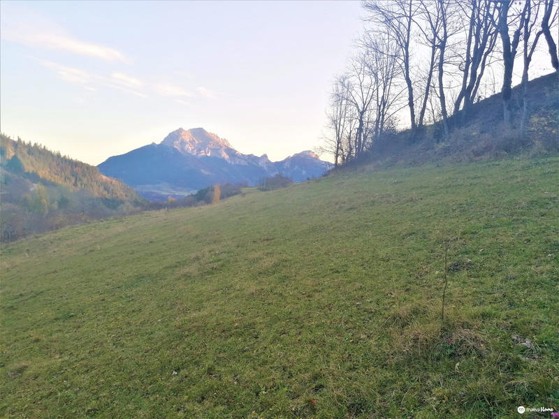 Terrain - 3 463 m²