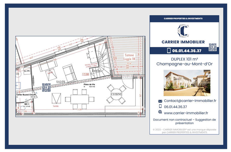 Duplex - 101 m² - 5 pièces
