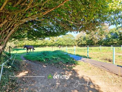 Maison en pierre - 115 m² - 4 pièces