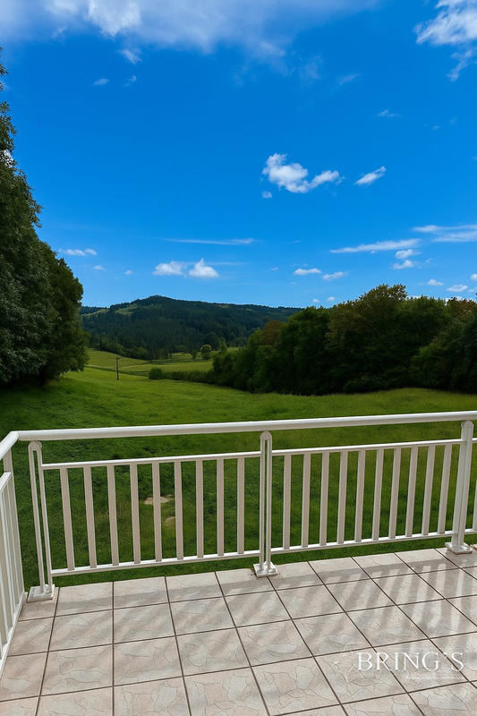 Maison - 350 m² - 12 pièces