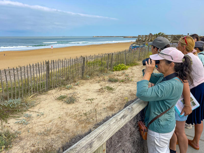 Visite guidée "Ecosystèmes dunaires et gestion du littoral angloy"