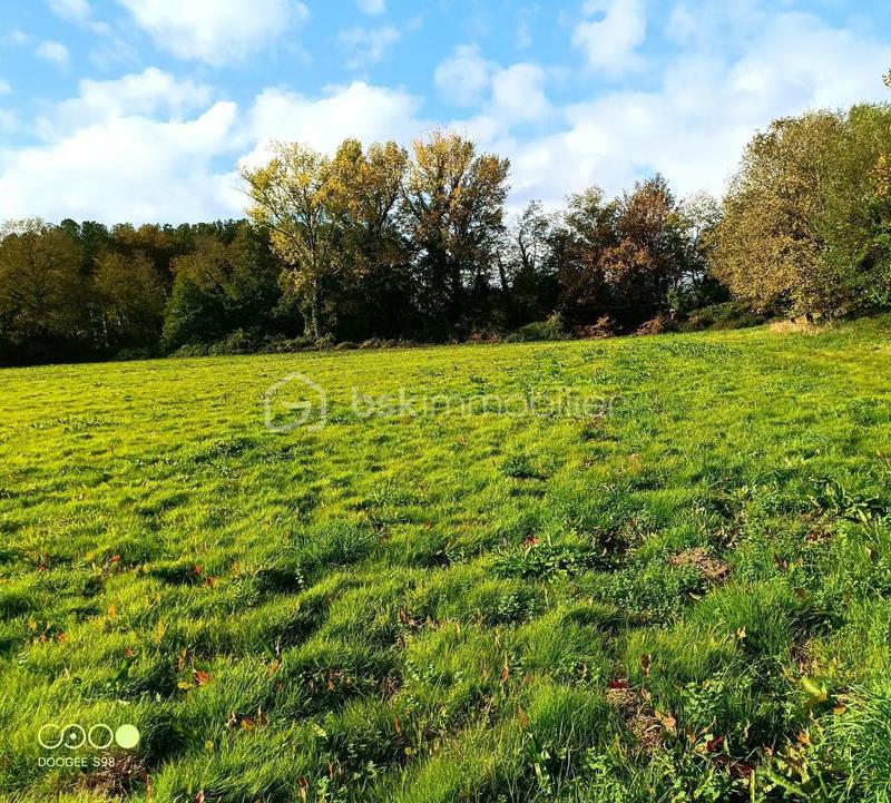 Terrain agricole - 150 960 m²