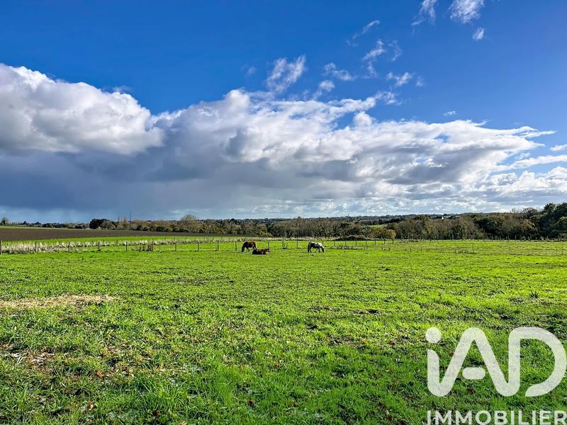 Maison - 145 m² - 7 pièces