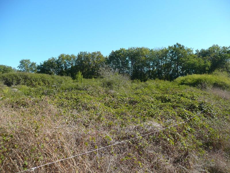 Terrain constructible - 5 345 m²