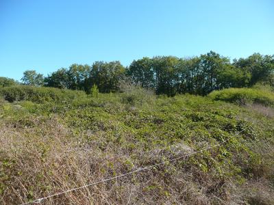 Terrain constructible - 5 345 m²