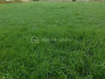 Terrain constructible - 1 089 m²