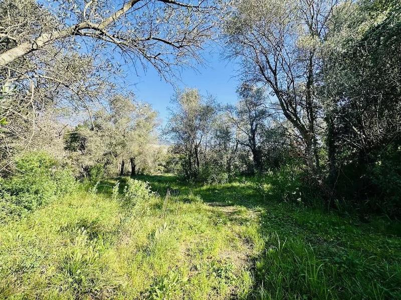 Propriété - 300 m² - 15 pièces