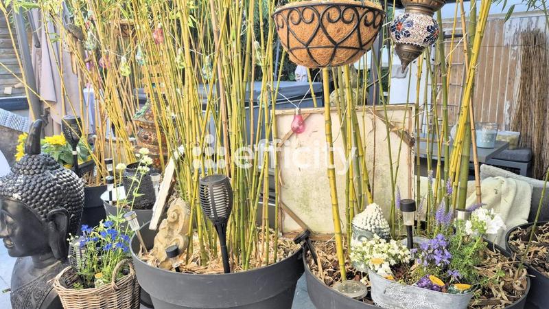 Maison - 180 m² - 6 pièces