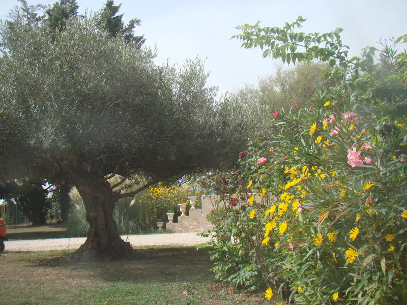 Maison - 240 m² - 10 pièces