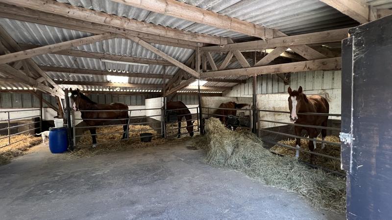 Ferme - 183 m² - 8 pièces