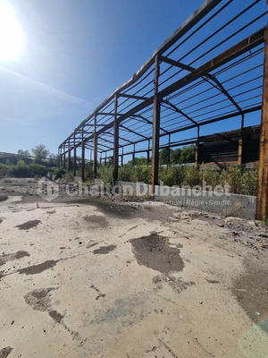 Terrain - 10 916 m²