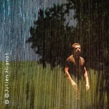 Le Vilain Petit Canard