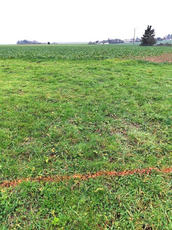 Bureau - 100 m² - 2 pièces