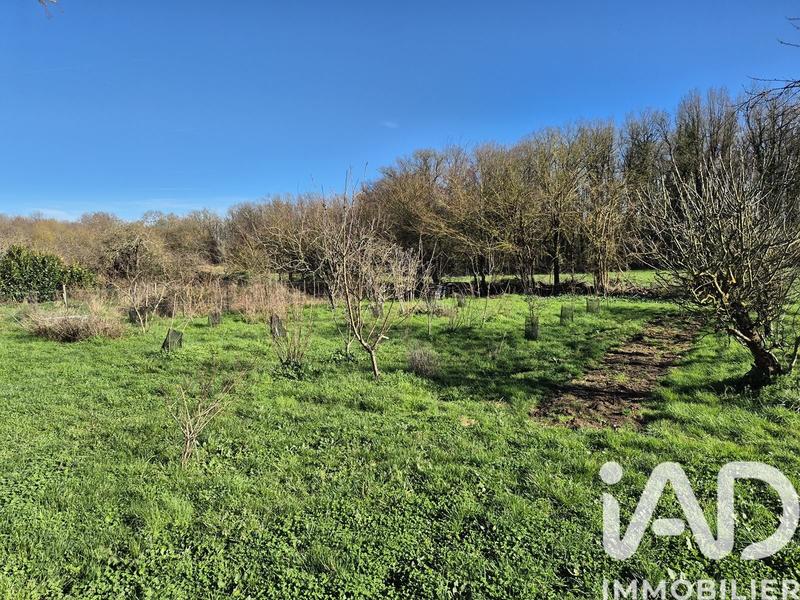 Maison - 146 m² - 5 pièces