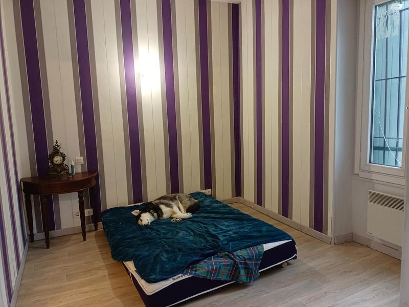 Local commercial - 245 m² - 10 pièces