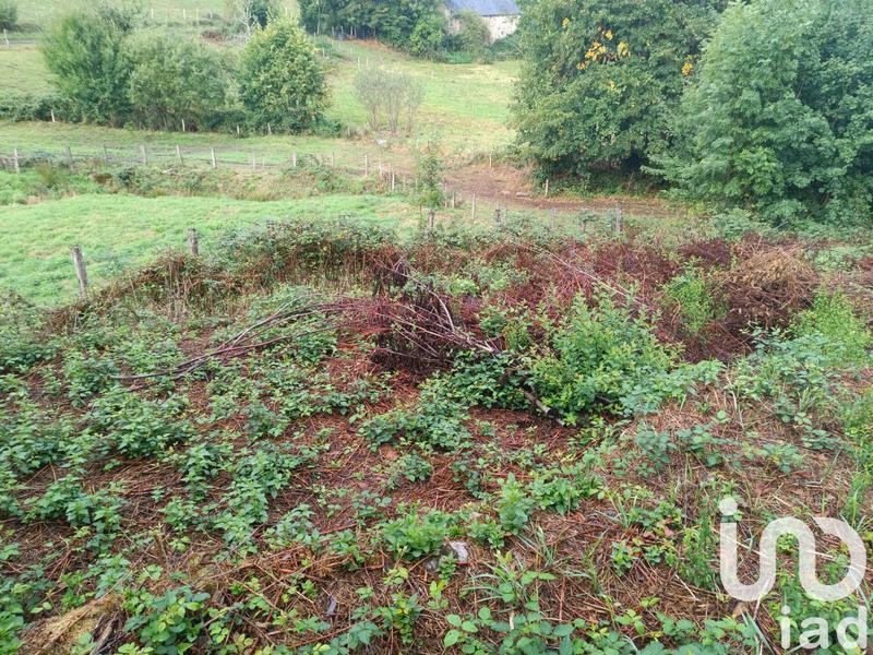 Maison de campagne - 74 m² - 4 pièces