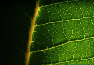 Appartement - 116 m² - 5 pièces