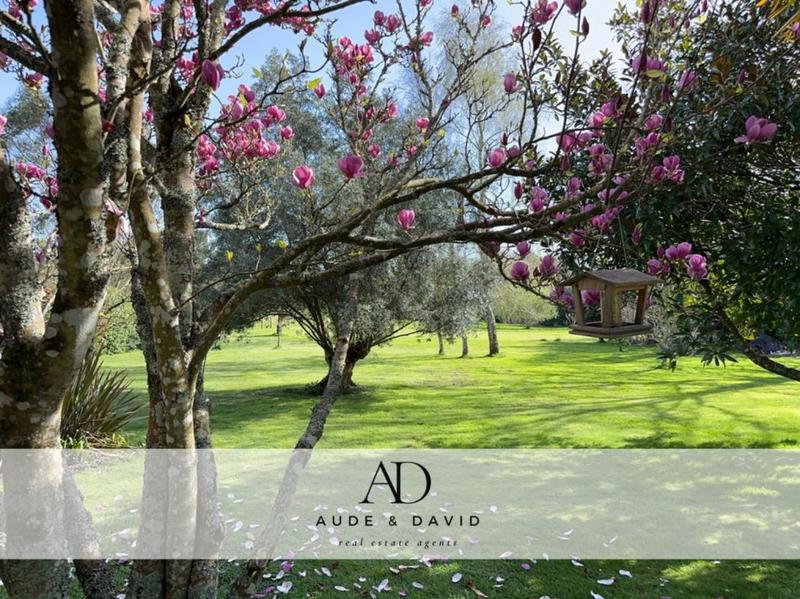 Terrain - 19 350 m²