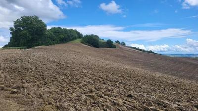 Terrain - 200 000 m²