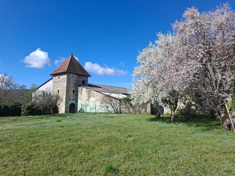 Château - 150 m² - 15 pièces