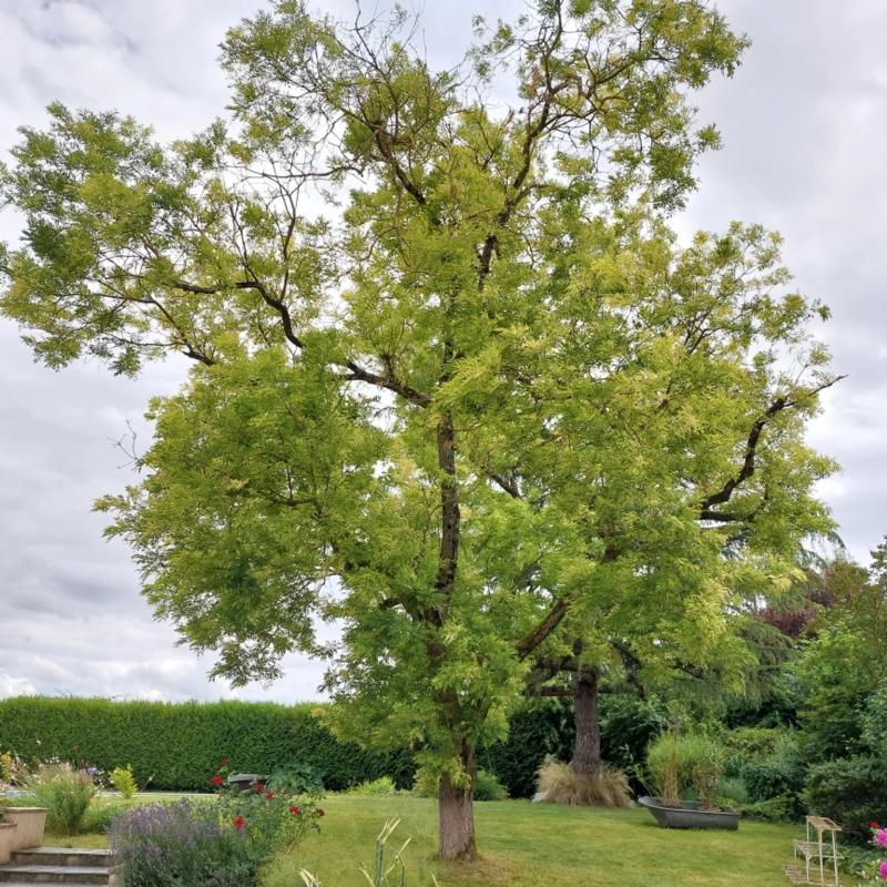 Longère - 184 m² - 6 pièces