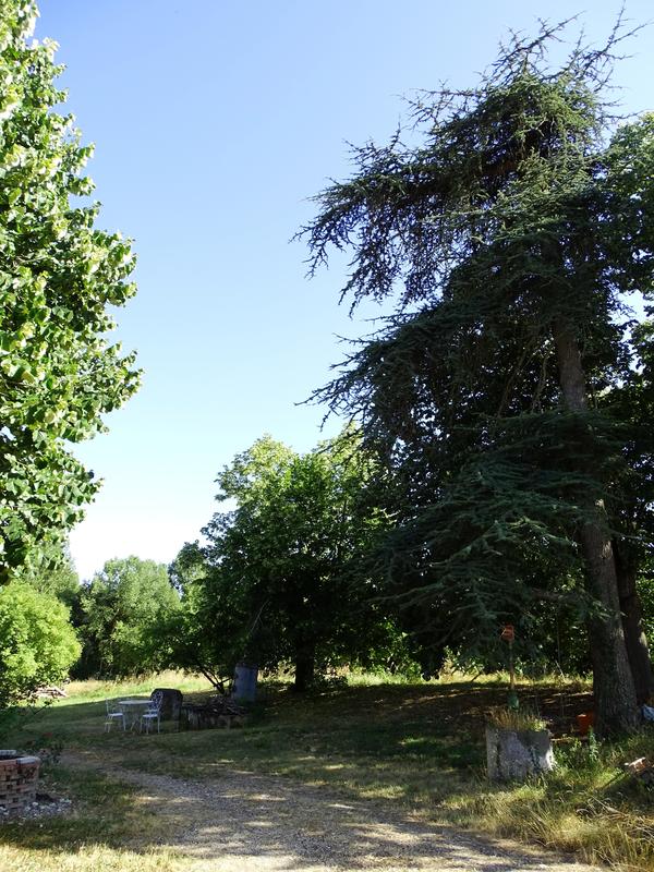 Maison de village - 132 m² - 5 pièces