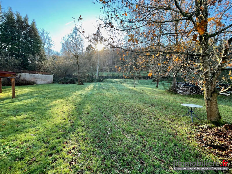 Maison - 317 m² - 10 pièces