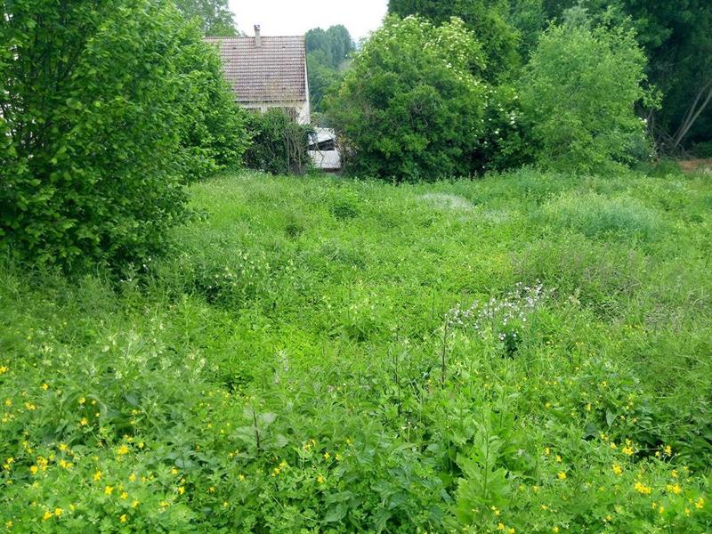 Terrain constructible - 4 587 m²