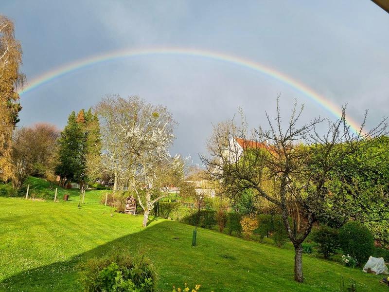 Exposition : Niederbronn-les-Bains au vert
