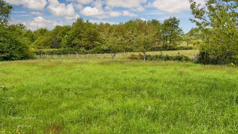 Terrain constructible - 1 446 m²