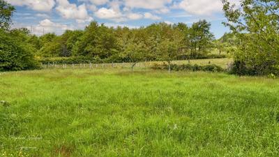 Terrain constructible - 1 446 m²