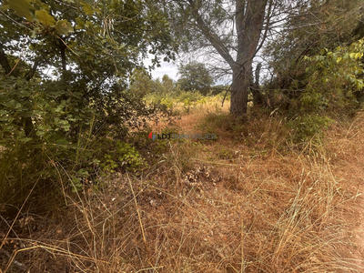 Terrain agricole - 5 000 m²