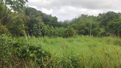 Terrain constructible - 669 m²