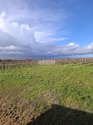 Maison - 260 m² - 1 pièce