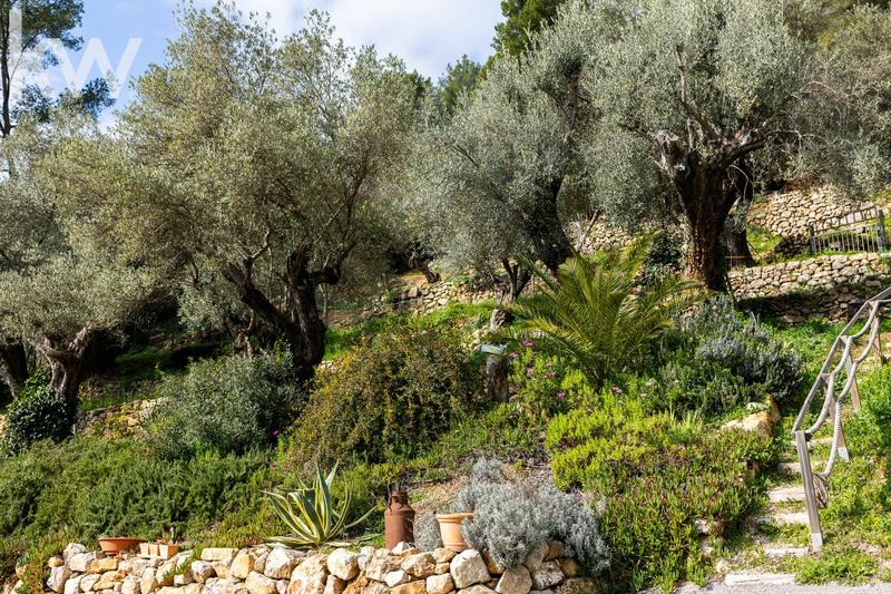 Maison contemporaine - 239 m² - 8 pièces