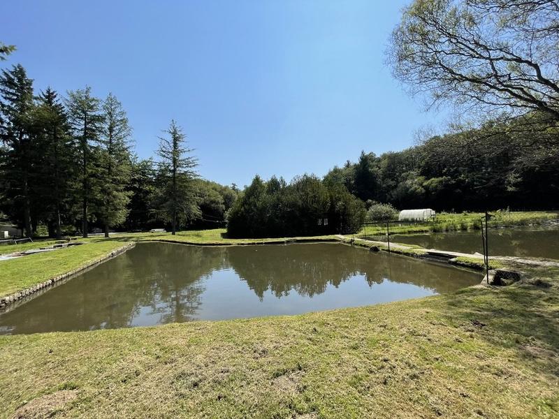 Maison ancienne - 50 m² - 3 pièces