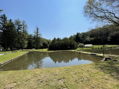 Maison ancienne - 50 m² - 3 pièces