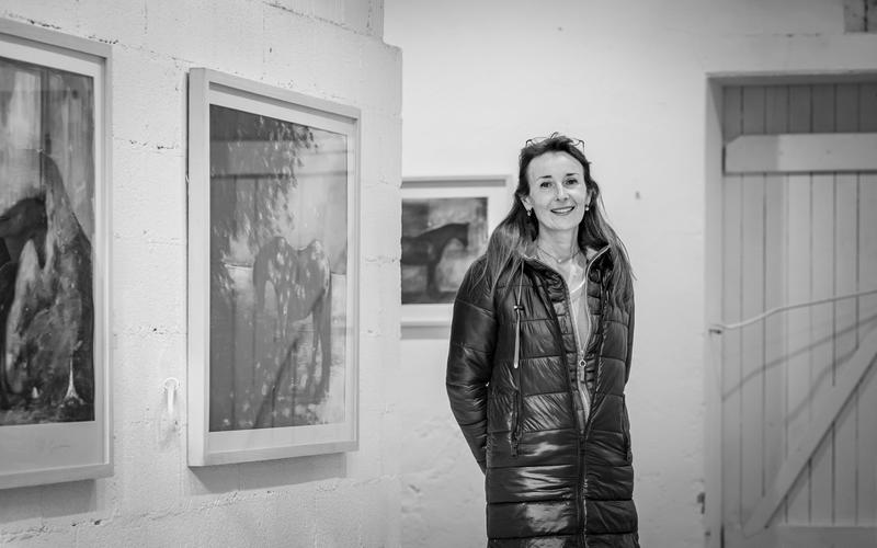 Exposition "Entre ciel et terre" de Marie-Amélie Germain, à la Galerie Nicole Buck