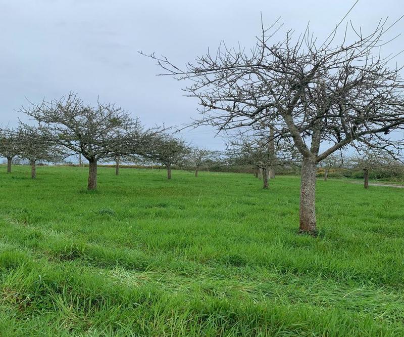 Longère - 100 m² - 3 pièces