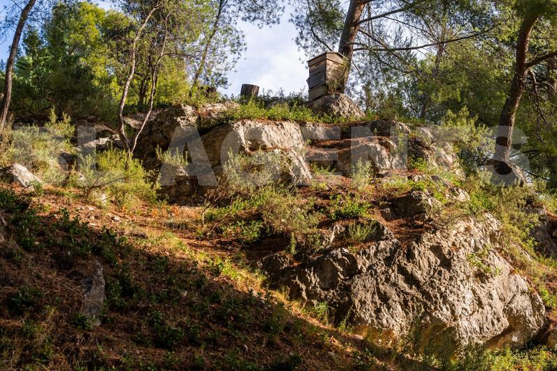 Maison d'architecte - 156 m² - 6 pièces